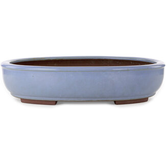  Yamaaki Vaso bonsai ovale azzurro chiaro da 435 mm di Yamaaki Toshio (terza generazione), Tokoname, Giappone