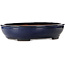Vaso bonsai ovale blu di Kakuzan - 480 x 365 x 105 mm