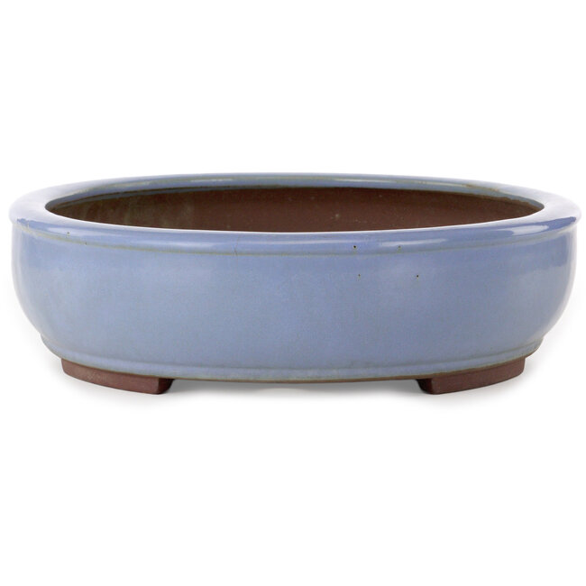 Vaso bonsai ovale azzurro chiaro di Yamaaki Toshio (terza generazione) - 435 x 355 x 90 mm