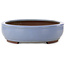 Maceta ovalada azul claro para bonsái de Yamaaki Toshio (tercera generación) - 435 x 355 x 90 mm