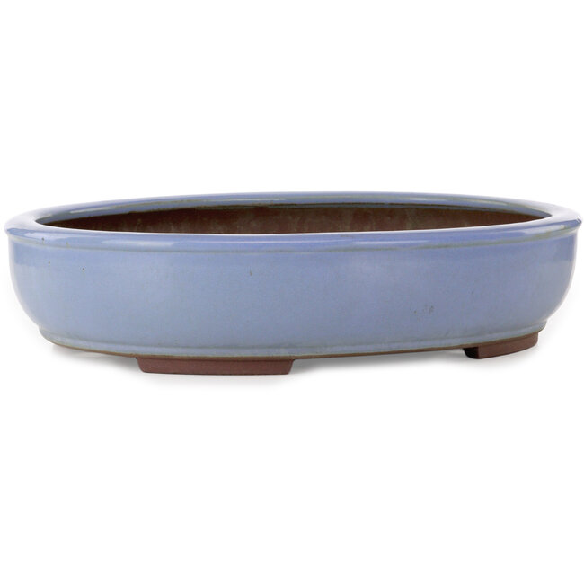 Pot à bonsaï ovale bleu clair de Yamaaki Toshio (troisième génération) - 435 x 355 x 90 mm