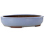 Maceta ovalada azul claro para bonsái de Yamaaki Toshio (tercera generación) - 435 x 355 x 90 mm