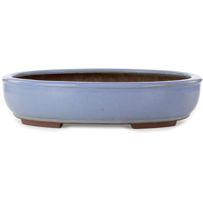 Maceta ovalada azul claro para bonsái de Yamaaki Toshio (tercera generación) - 435 x 355 x 90 mm