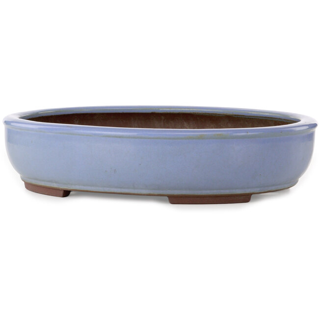 Maceta ovalada azul claro para bonsái de Yamaaki Toshio (tercera generación) - 435 x 355 x 90 mm