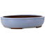 Vaso bonsai ovale azzurro chiaro di Yamaaki Toshio (terza generazione) - 435 x 355 x 90 mm