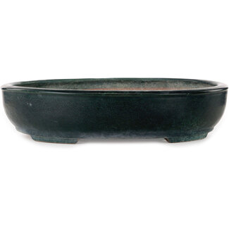  Shuuhou (Hidemi Kataoka) Vaso bonsai verde ovale da 507 mm di Shuhou, Tokoname, Giappone