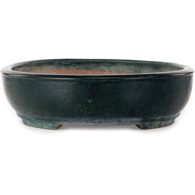 Maceta ovalada verde para bonsái de Shuhou - 507 x 416 x 112 mm