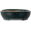 Maceta ovalada verde para bonsái de Shuhou - 507 x 416 x 112 mm