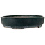 Maceta ovalada verde para bonsái de Shuhou - 507 x 416 x 112 mm