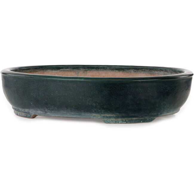 Maceta ovalada verde para bonsái de Shuhou - 507 x 416 x 112 mm