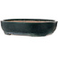 Oval green bonsai pot by Shuhou - 507 x 416 x 112 mm