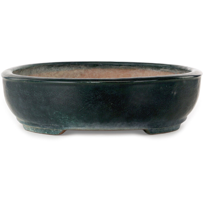 Maceta ovalada verde para bonsái de Shuhou - 507 x 416 x 112 mm