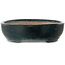 Pot ovale vert pour bonsaï de Shuhou - 507 x 416 x 112 mm