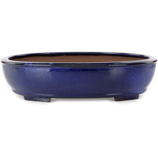  Kakuzan Pot à bonsaï ovale bleu de 405 mm de diamètre, fabriqué par Kakuzan, Tokoname, Japon.