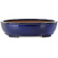 Ovale blauwe bonsaipot van Kakuzan - 405 x 325 x 95 mm