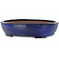 Vaso bonsai ovale blu di Kakuzan - 405 x 325 x 95 mm