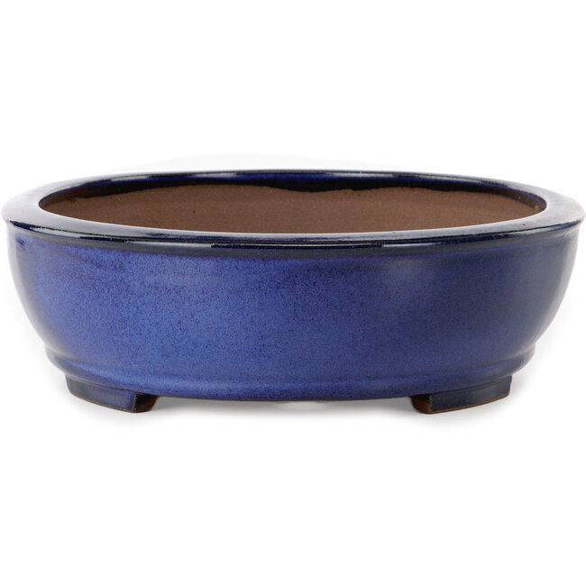 Maceta ovalada azul para bonsái de Kakuzan - 405 x 325 x 95 mm