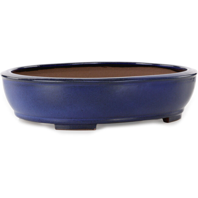 Pot ovale bleu pour bonsaï de Kakuzan - 405 x 325 x 95 mm