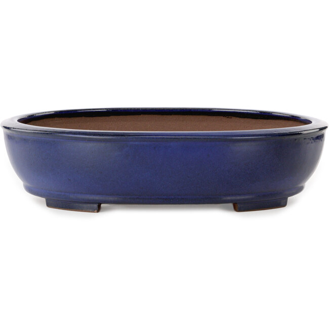 Maceta ovalada azul para bonsái de Kakuzan - 405 x 325 x 95 mm