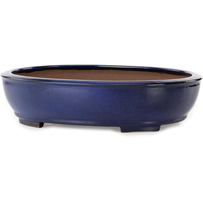 Maceta ovalada azul para bonsái de Kakuzan - 405 x 325 x 95 mm