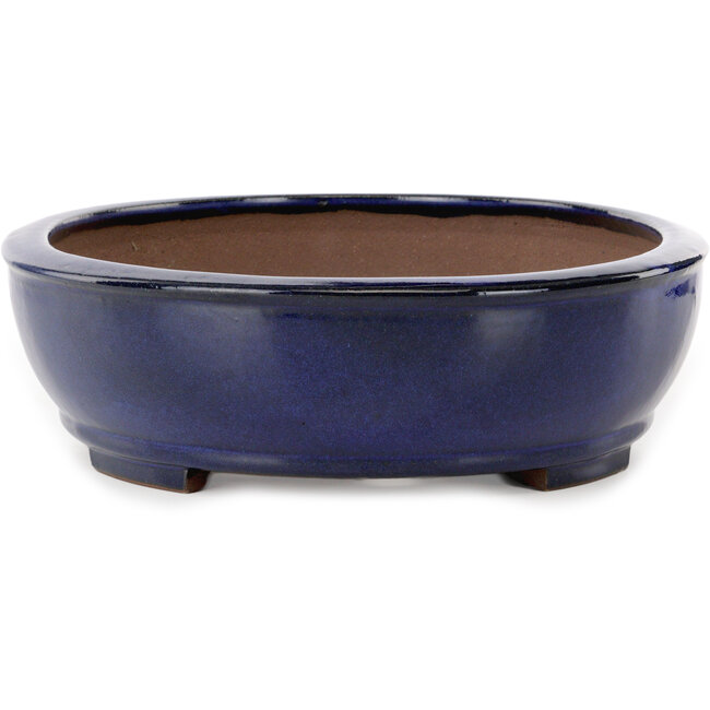 Vaso bonsai ovale blu di Kakuzan - 405 x 325 x 95 mm