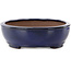 Oval blue bonsai pot by Kakuzan - 405 x 325 x 95 mm