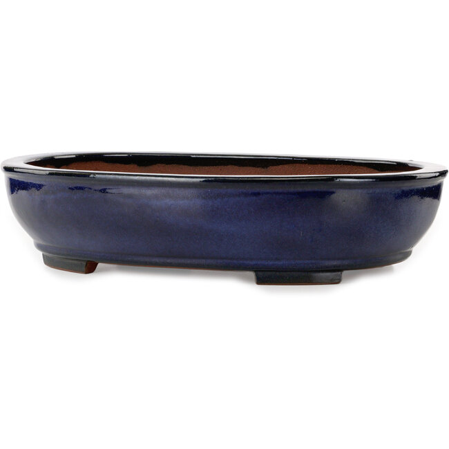 Oval blue bonsai pot by Kakuzan - 477 x 365 x 108 mm