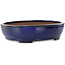 Ovale blauwe bonsaipot van Kakuzan - 405 x 325 x 95 mm