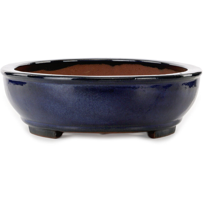 Ovale blauwe bonsaipot van Kakuzan - 477 x 365 x 108 mm