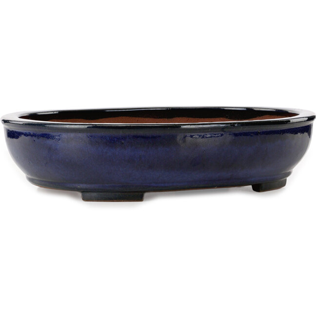 Oval blue bonsai pot by Kakuzan - 477 x 365 x 108 mm