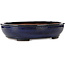 Maceta ovalada azul para bonsái de Kakuzan - 477 x 365 x 108 mm