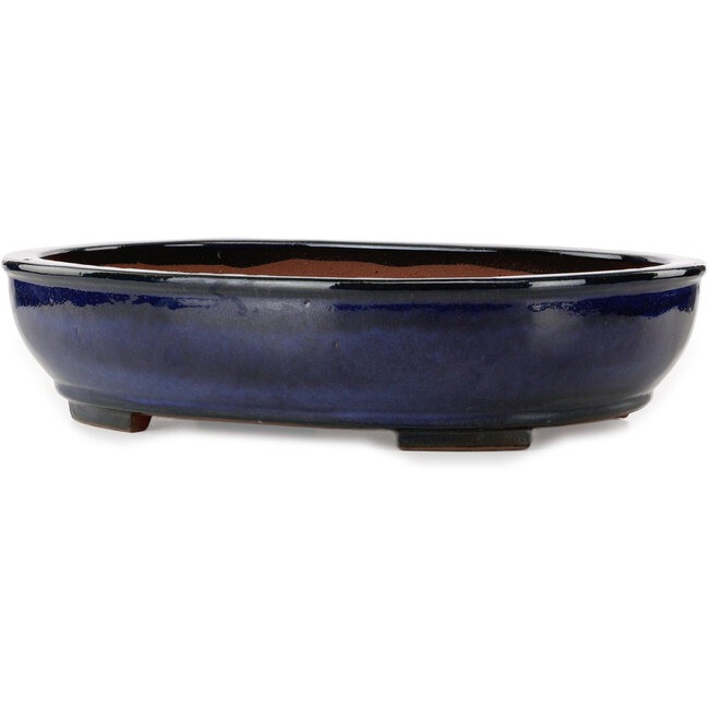 Pot ovale bleu pour bonsaï de Kakuzan - 477 x 365 x 108 mm
