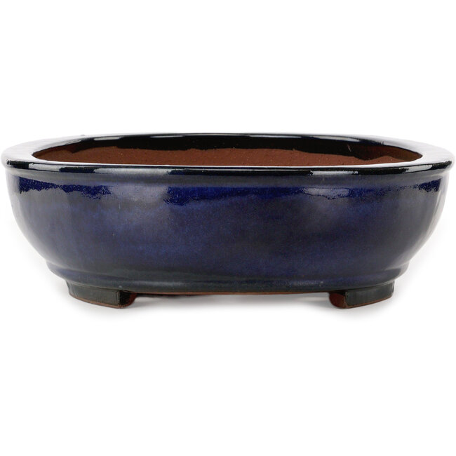 Vaso bonsai ovale blu di Kakuzan - 477 x 365 x 108 mm