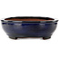 Maceta ovalada azul para bonsái de Kakuzan - 477 x 365 x 108 mm