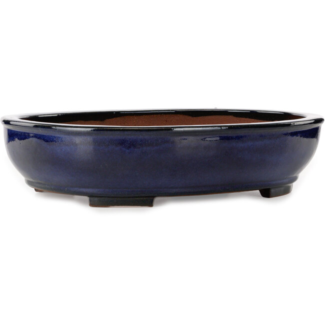 Maceta ovalada azul para bonsái de Kakuzan - 477 x 365 x 108 mm