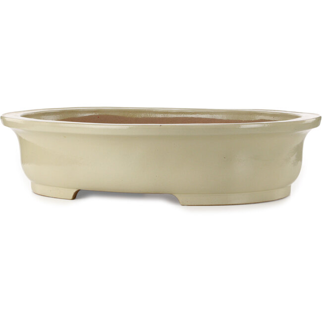 Maceta ovalada beige para bonsái de Kakuzan - 716 x 575 x 170 mm