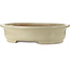 Vaso bonsai ovale beige di Kakuzan - 716 x 575 x 170 mm