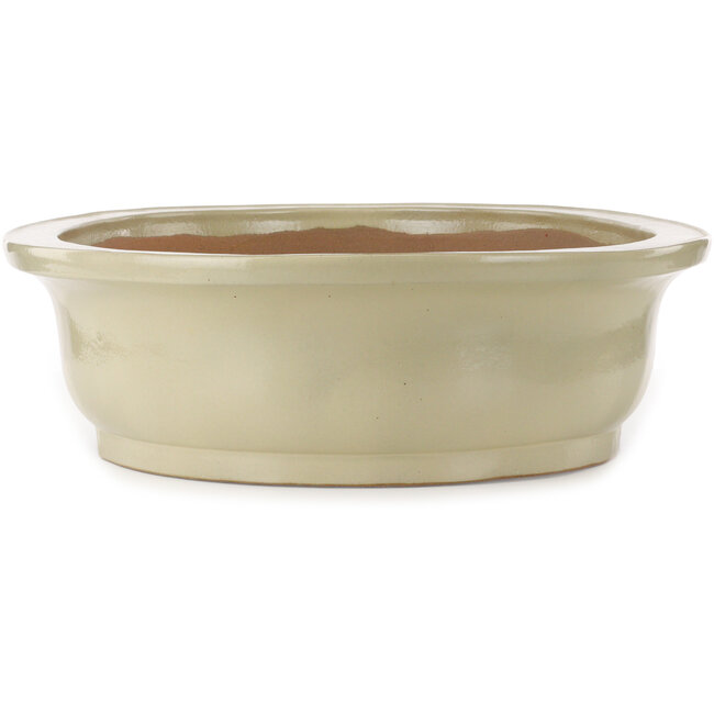 Oval beige bonsai pot by Kakuzan - 716 x 575 x 170 mm