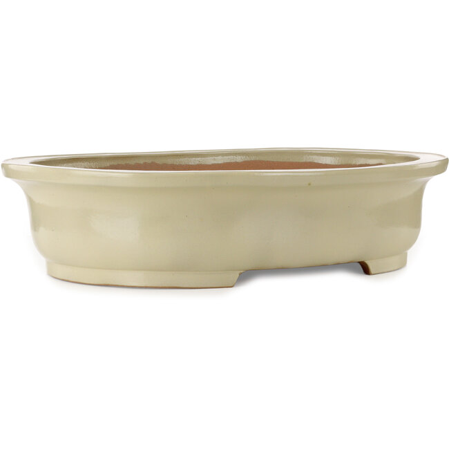 Vaso bonsai ovale beige di Kakuzan - 716 x 575 x 170 mm