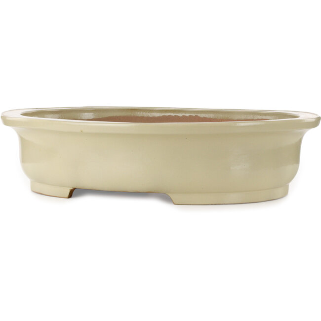 Vaso bonsai ovale beige di Kakuzan - 716 x 575 x 170 mm
