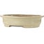 Pot à bonsaï ovale beige de Kakuzan - 716 x 575 x 170 mm