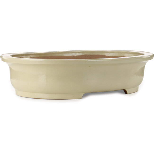 Oval beige bonsai pot by Kakuzan - 716 x 575 x 170 mm