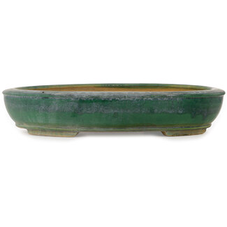  Shuuhou (Hidemi Kataoka) 515 mm oval green bonsai pot by Shuhou, Tokoname, Japan
