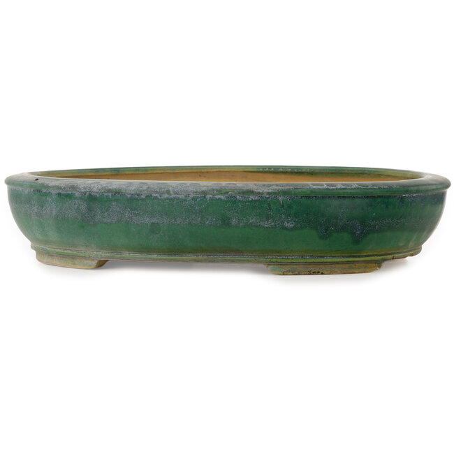 Pot ovale vert pour bonsaï de Shuhou - 515 x 425 x 95 mm