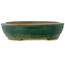 Maceta ovalada verde para bonsái de Shuhou - 515 x 425 x 95 mm