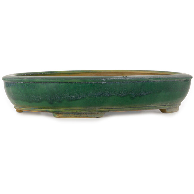 Maceta ovalada verde para bonsái de Shuhou - 515 x 425 x 95 mm