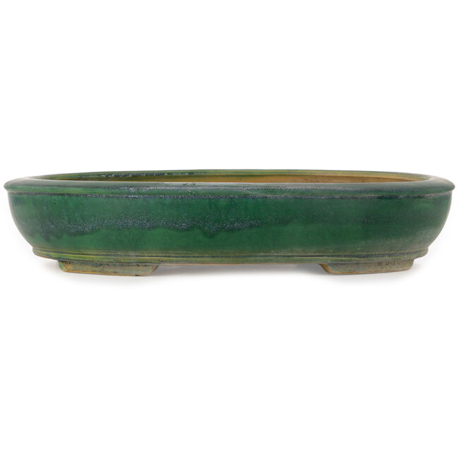 Vaso bonsai ovale verde di Shuhou - 515 x 425 x 95 mm
