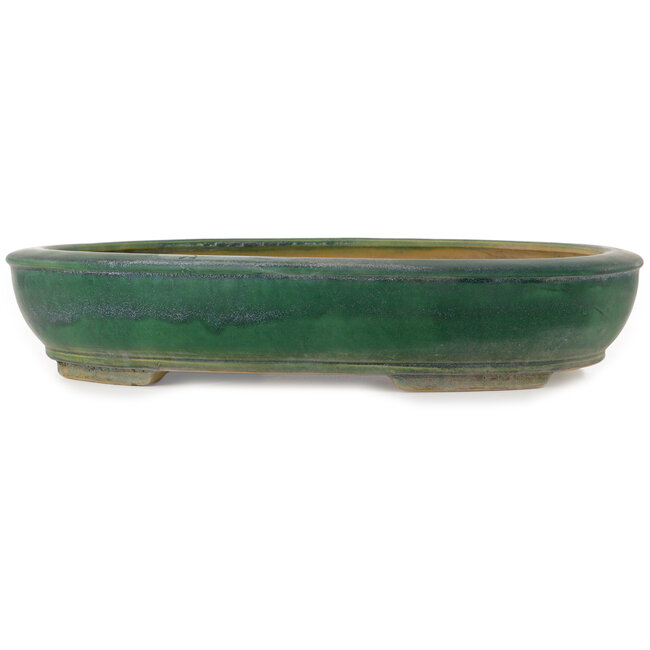 Ovale groene bonsaipot van Shuhou - 515 x 425 x 95 mm