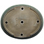 Maceta ovalada verde para bonsái de Kouhou - 494 x 407 x 80 mm