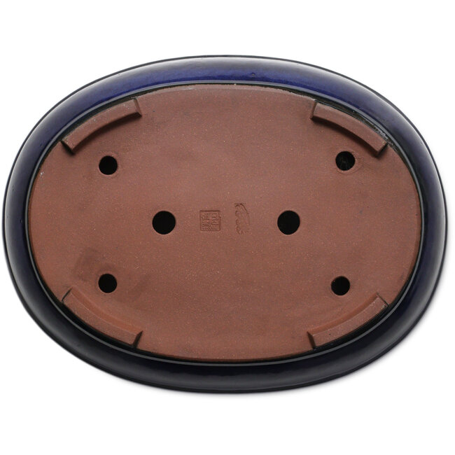 Oval blue bonsai pot by Kakuzan - 477 x 365 x 108 mm